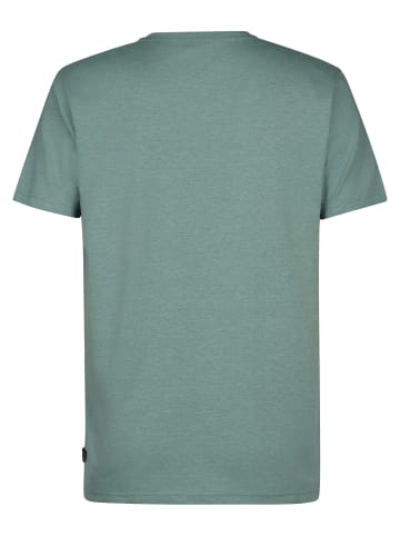 Petrol Industries Logo T-Shirt Ladera in Grün