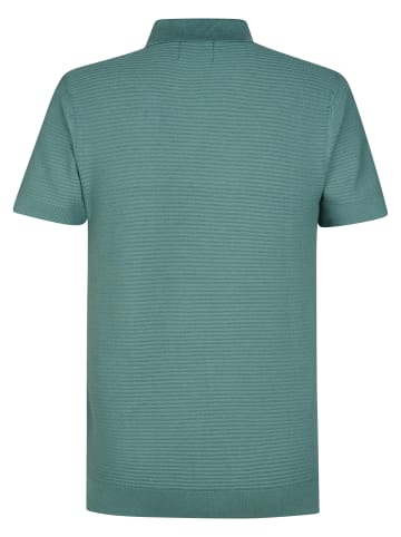 Petrol Industries Strick-Poloshirt Delfín in Grün