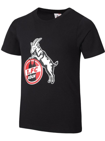 Fußballverein 1. FC Köln Shirt "T-Shirt Basic" in Schwarz
