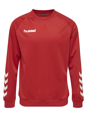 Hummel Hummel Sweatshirt Hmlpromo Multisport Unisex Kinder in TRUE RED