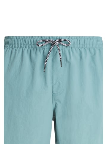 Protest " Faster in Arcticgreen