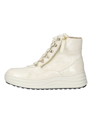 Gabor Sneaker in Latte