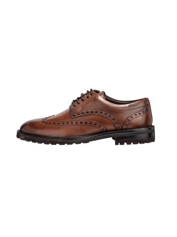 JOOP! Lace Up 'Pero Danilo Brogue in Dunkelbraun'