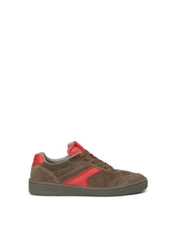 Marc O'Polo Court-Sneaker in dark taupe/poppy red