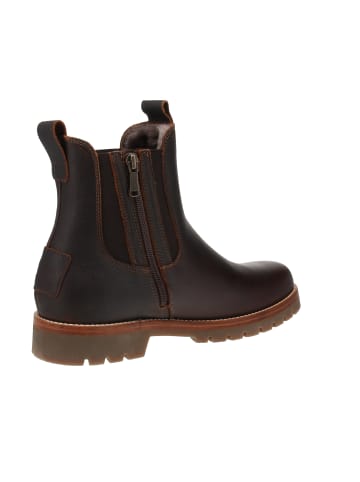 PANAMA JACK Chelsea-Boots Beny Igloo in Braun