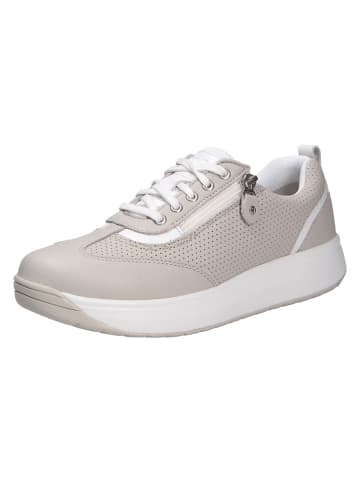 Joya Schnürschuh LAURA LIGHT BEIGE in beige
