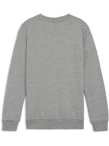 Puma Pullover "TeamGoal CasuaLongsleeve Crew Neck Sweat Jr" in Grau