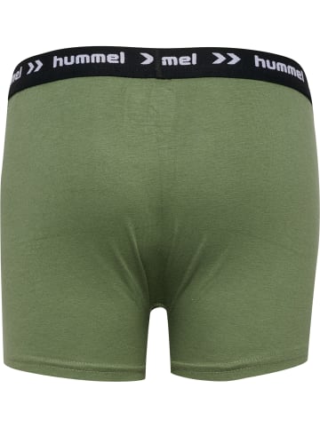 Hummel Hummel Boxer Hmlnalle Jungen in OLIVINE