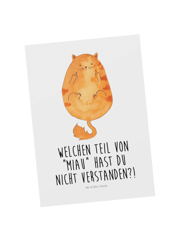 Mr. & Mrs. Panda Ansichtskarte Katze Mittelfinger mit Spruch in Weiß