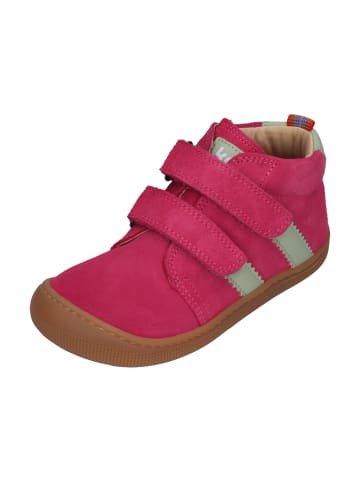 KOEL Sneaker High DAVID SUEDE in rosa