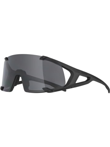 Alpina Ski-Sonnenbrille in schwarz