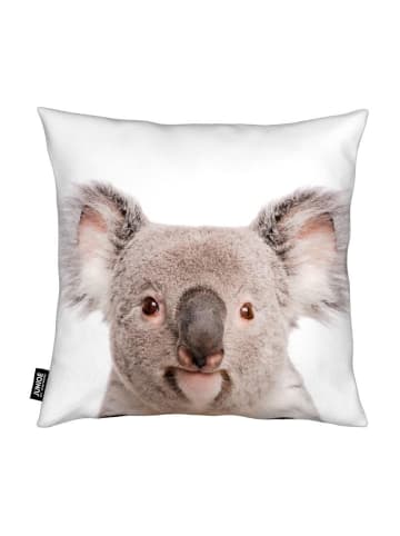 Juniqe Kissen "Koala" in Cremeweiß & Grau