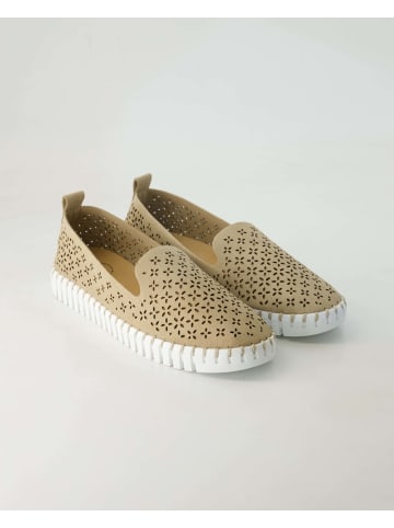 Terry Slipper in Beige