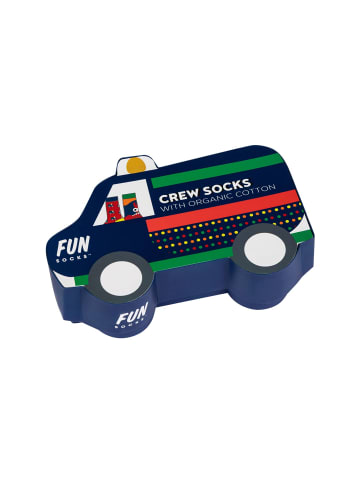 Fun Socks Sockenbox 3er Pack limoges
