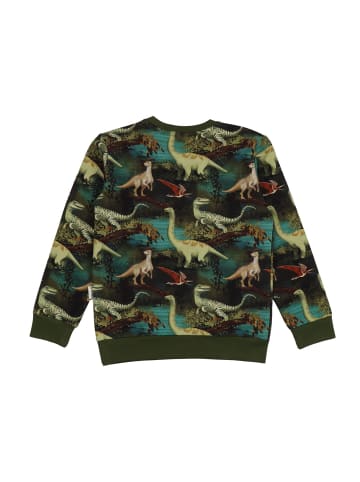 Walkiddy Sweatshirt Dinasour Jungle-Sweatshirt