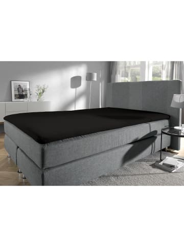 Erwin Müller Single-Jersey Bio Topper-Spannbettlaken Bayreuth in schwarz