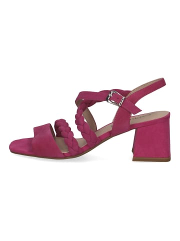 Caprice Sandalen in Fuchsia