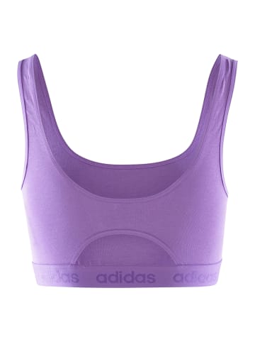 adidas Bustier CROP BRA in lila