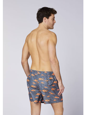 Chiemsee Badeshorts in Grau