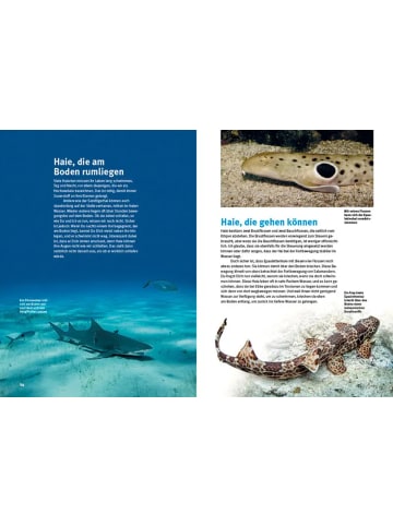 Natur und Tier-Verlag Entdecke die Haie