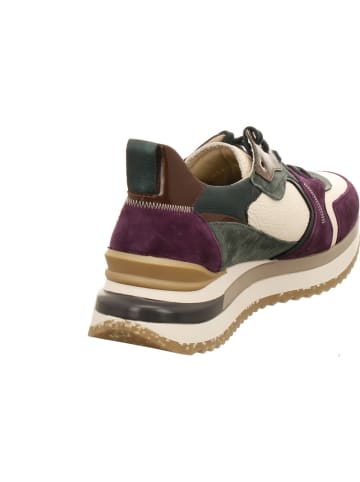 Mephisto Sneaker Low in bunt