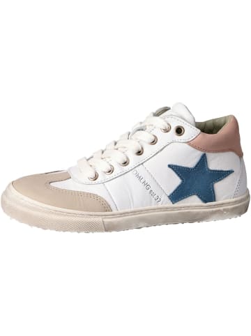 Däumling Schnürhalbschuh Benno in grau