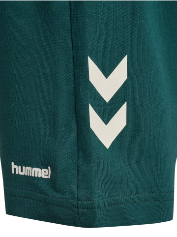 Hummel Verstellbare Taille Kurze Hose Hmljr Loose Lebensstil Kinder in JUNE BUG