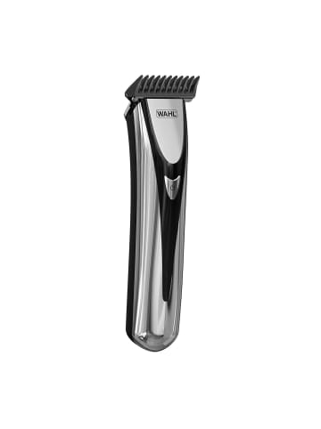 Moser 1 er-Set in Silber