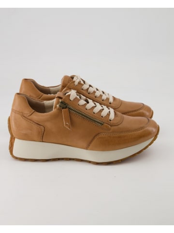 Paul Green Sneaker low in Braun