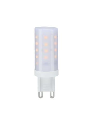 paulmann Standard 230V LED Stiftsockel 1er-Set F