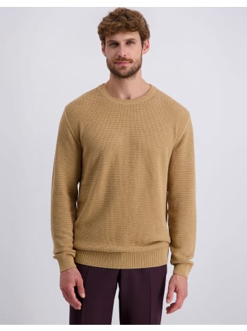 Pierre Cardin Pullover in Lark
