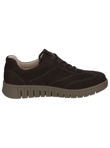 Caprice Sneaker in DK BROWN NUBUC