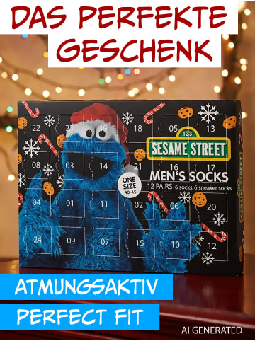 Sesamstraße Sesamstraße Socken Adventskalender mit 12 Paar kurz und lang in Mehrfarbig