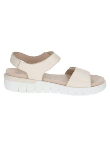 Caprice Sandalette in beige