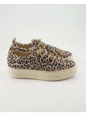 Paul Green Sneaker low in Braun