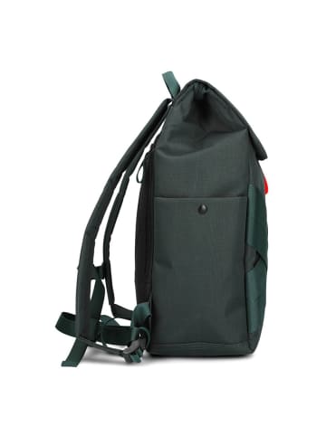 Zwei Alex Daypack 40 cm Laptopfach in pine