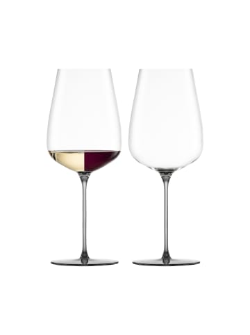 Eisch 2er Set Allroundgläser Inspire SensisPlus 740 ml in Grey
