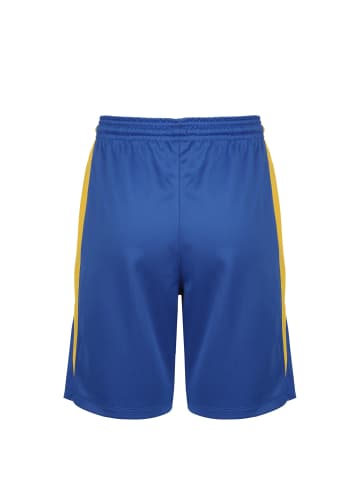 Nike Performance Trainingsshorts Team Basketball Stock in blau / gelb