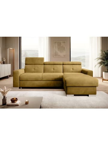 MF Design Falcon Recamiere Rechts in Senfgelb -  (L) 248 x (B) 248 x (H) 95 cm