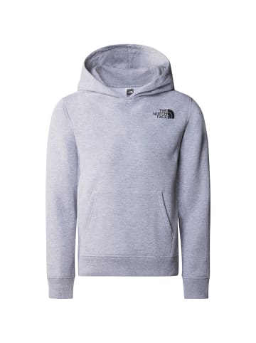 The North Face Hoodie NEW GRAPHIC in tnf light grey heather