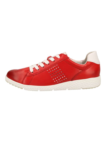 Marco Tozzi Sneaker in Rot/Weiß
