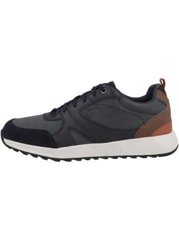 Geox Sneaker low U Molveno A in dunkelblau