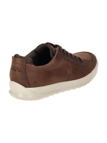 Ecco Komfort Schnürschuhe in Braun