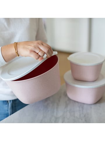 koziol CONNECT BOX 4 - Box mit Deckel 4l in organic pink-organic white