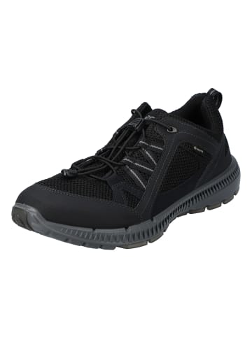 Ecco Lowtop-Sneaker Terracruise II in black/black