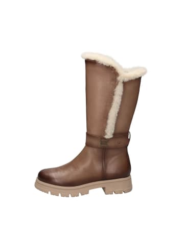 TT. BAGATT Langschaftstiefel in beige