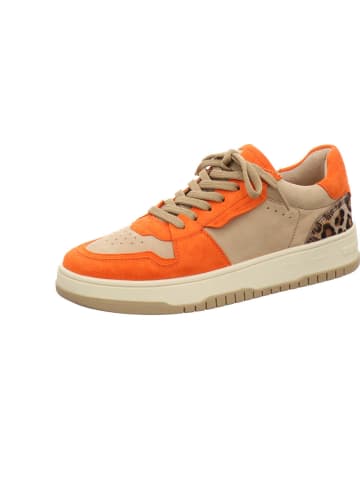 Kennel & Schmenger Sneaker Low in bunt