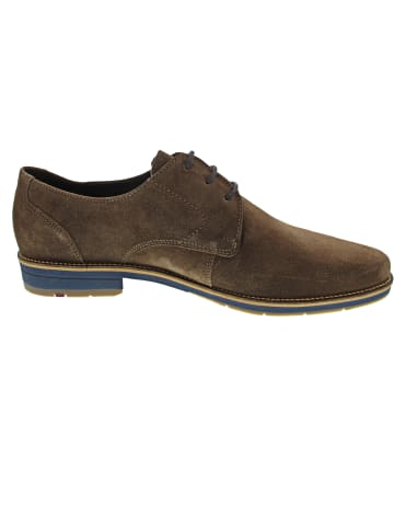 LLOYD DRIFT 110 Businessschuh Braun