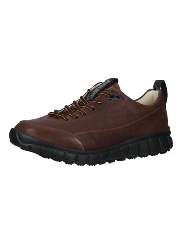 Ganter Sneaker in Chocolate