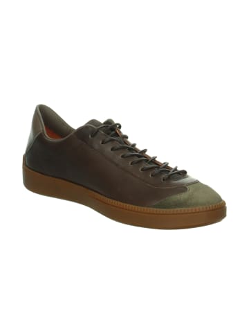 Think! Sneakers Low TURNA HE. in Espresso/Kombi